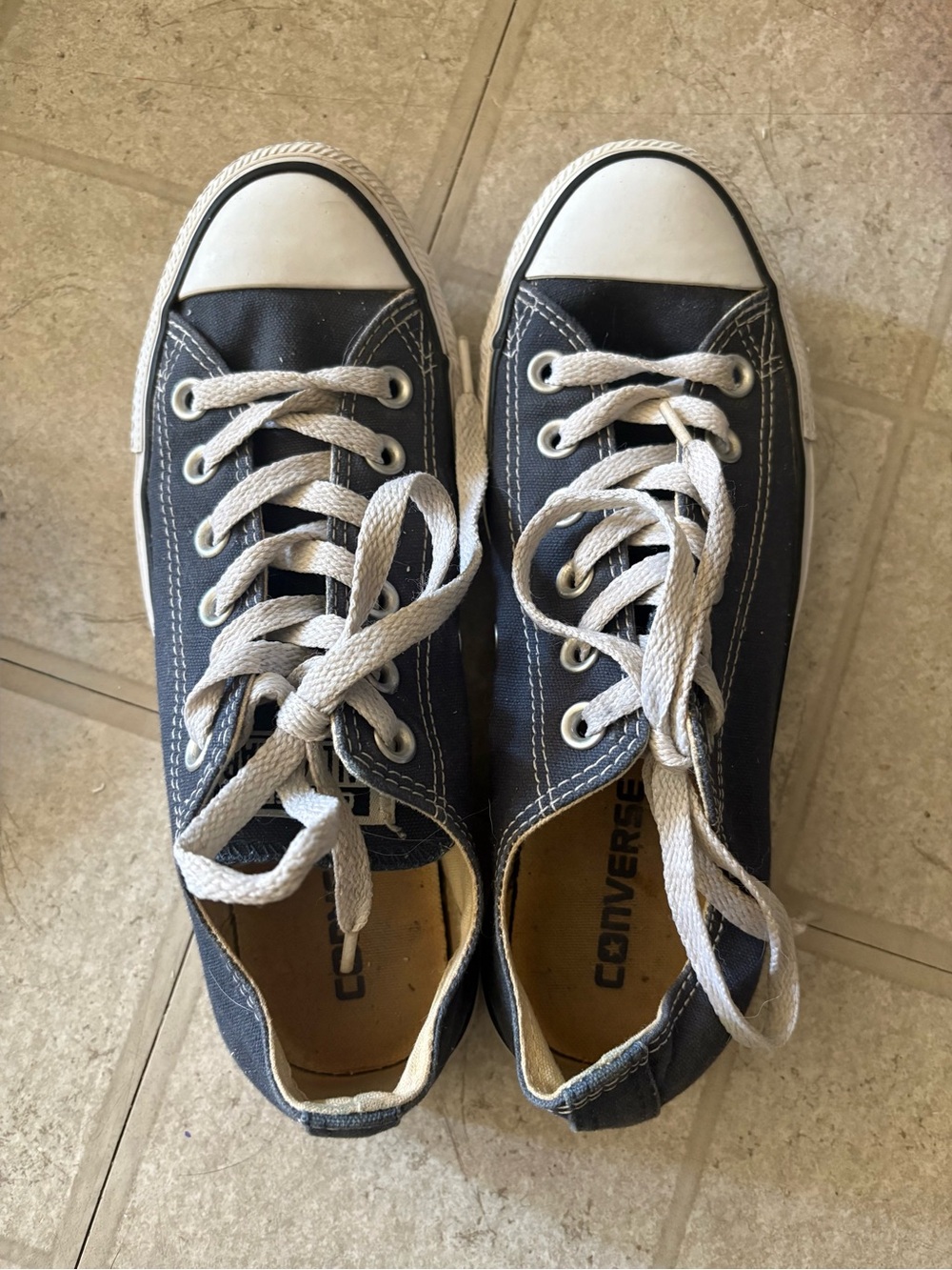 Converse Navy and White Low-Top Canvas Sneakers